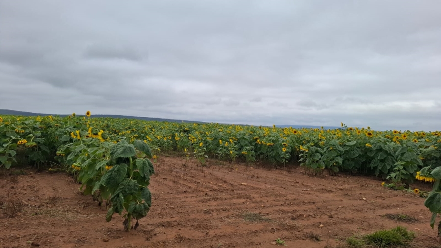 Commercial Property for Sale in Klerksdorp Rural North West